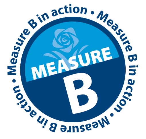 Logo_MeasureB-in action